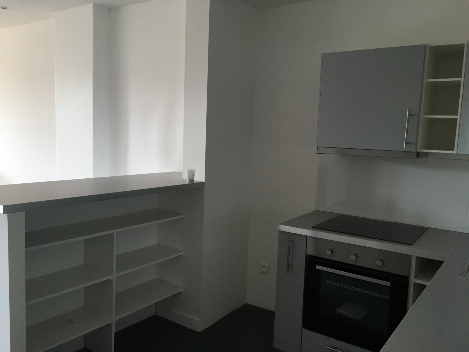 Image_, Appartement, Toulouse, ref :WILSONT4