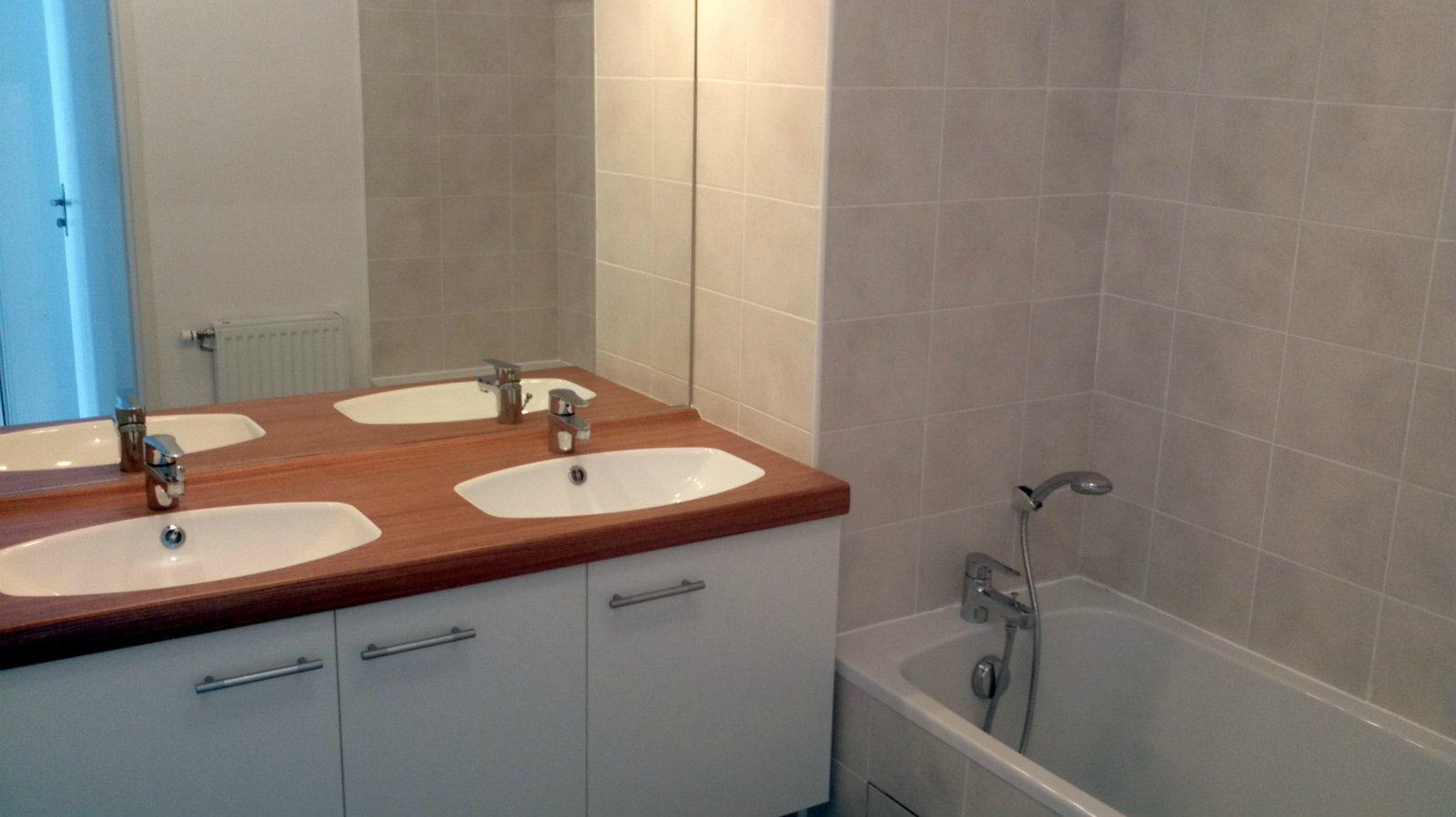 Image_, Appartement, Toulouse, ref :GIROUDT3