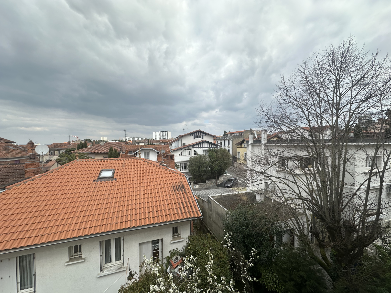 Image_, Appartement, Toulouse, ref :LAP30000313