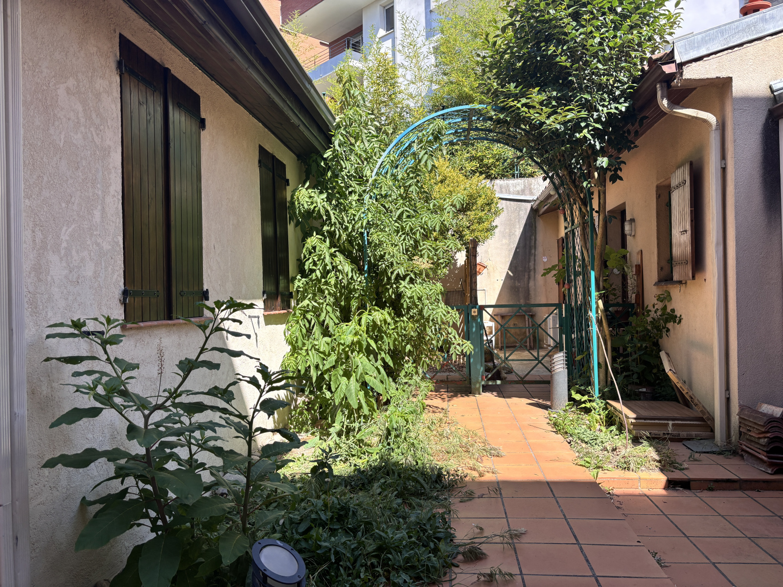 Image_, Appartement, Toulouse, ref :Marengo