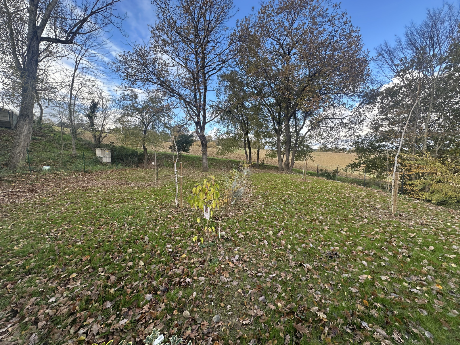 Image_, Duplex, Pin-Balma, ref :pinbalmat4