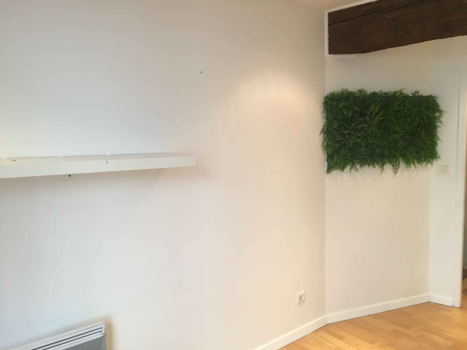 Image_, Local commercial, Toulouse, ref :AYRLOC