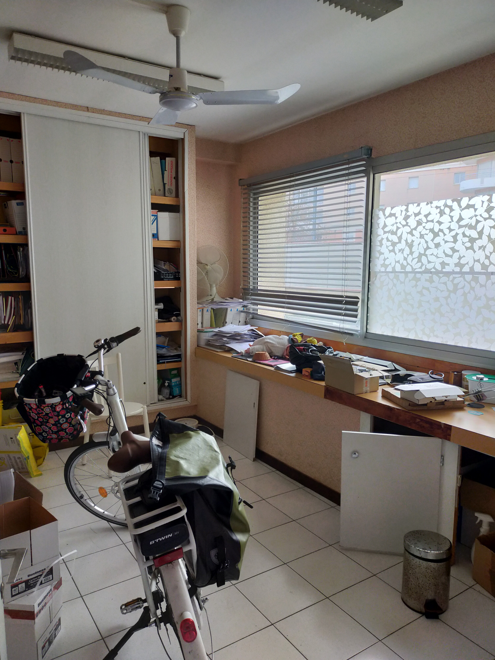 Image_, Local professionnel, Blagnac, ref :localblagnac1