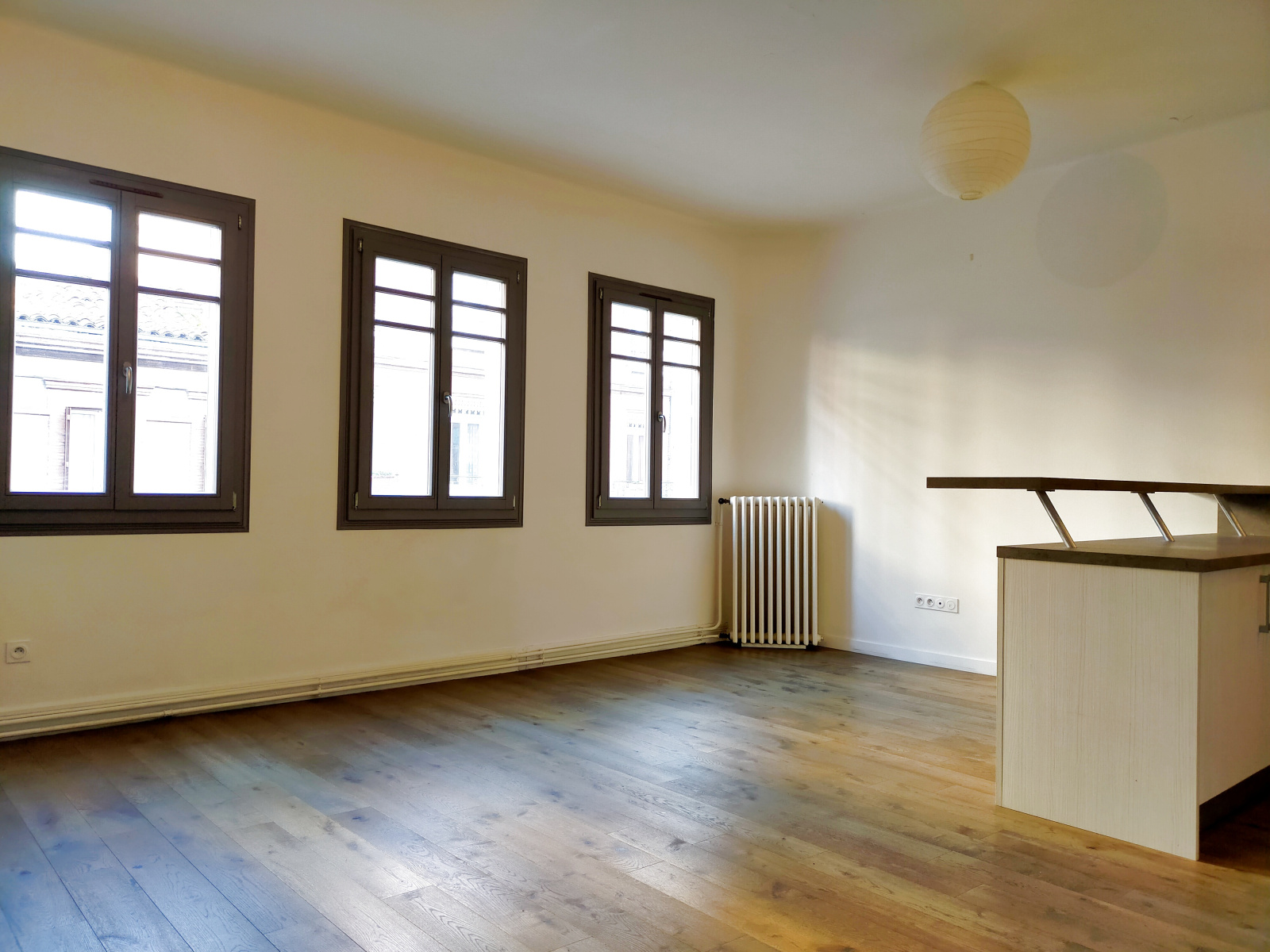 Image_, Appartement, Toulouse, ref :5jdarc