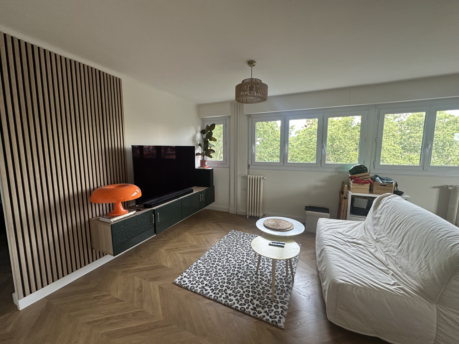 Image_, Appartement, Toulouse, ref :carnot
