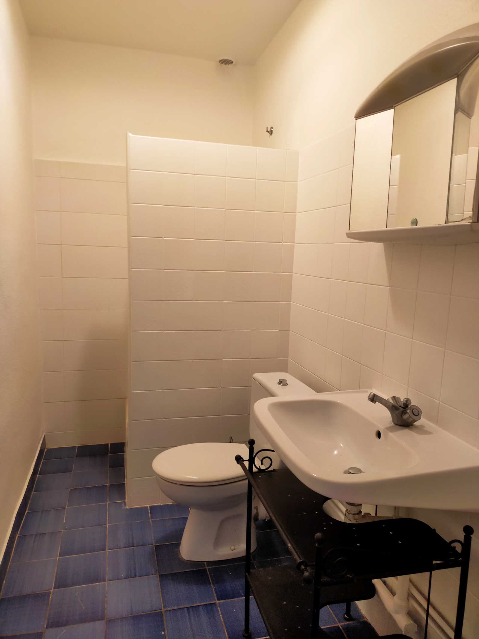 Image_, Appartement, Toulouse, ref :CHANGT2