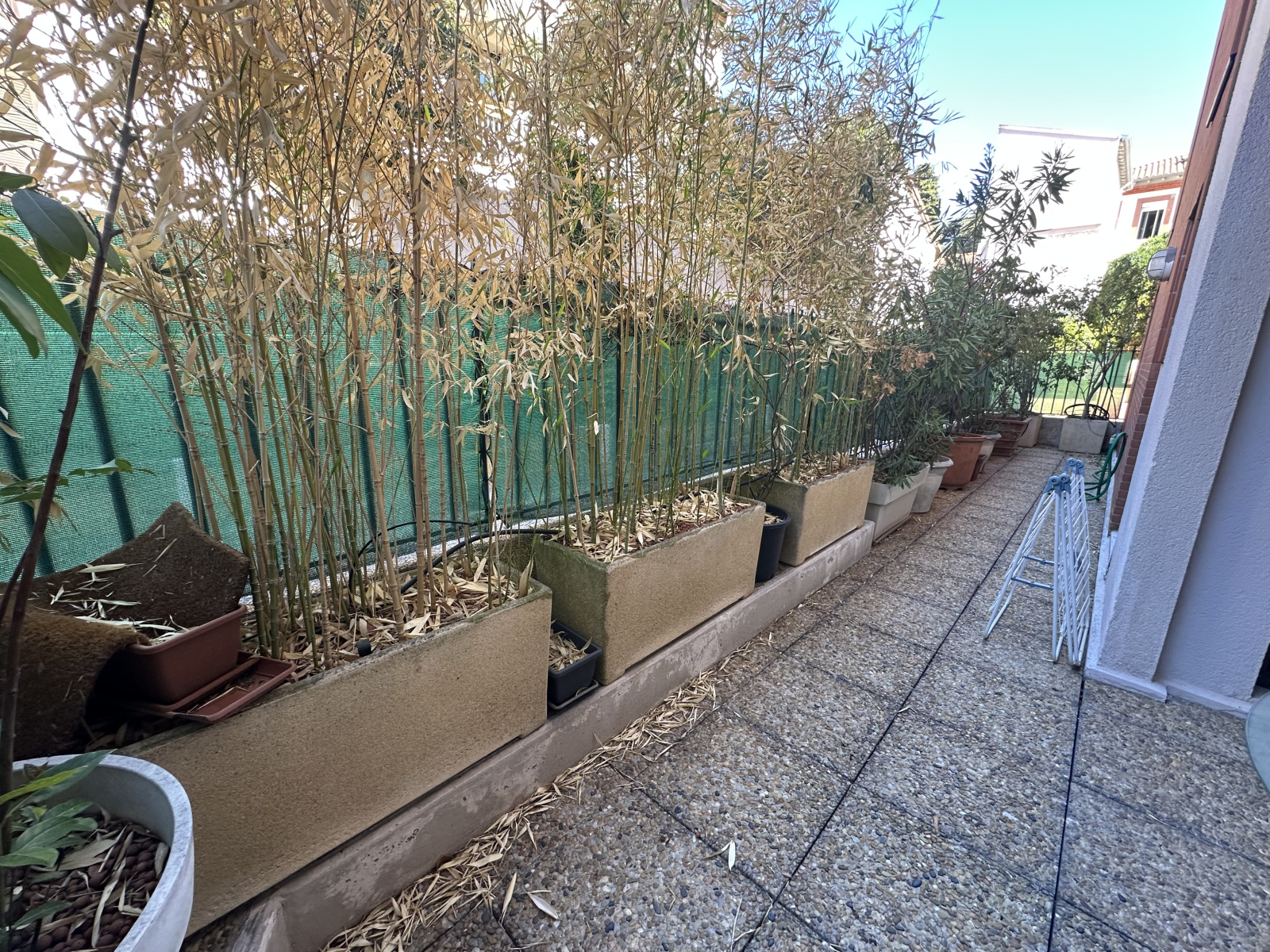 Image_, Appartement, Toulouse, ref :dumeril
