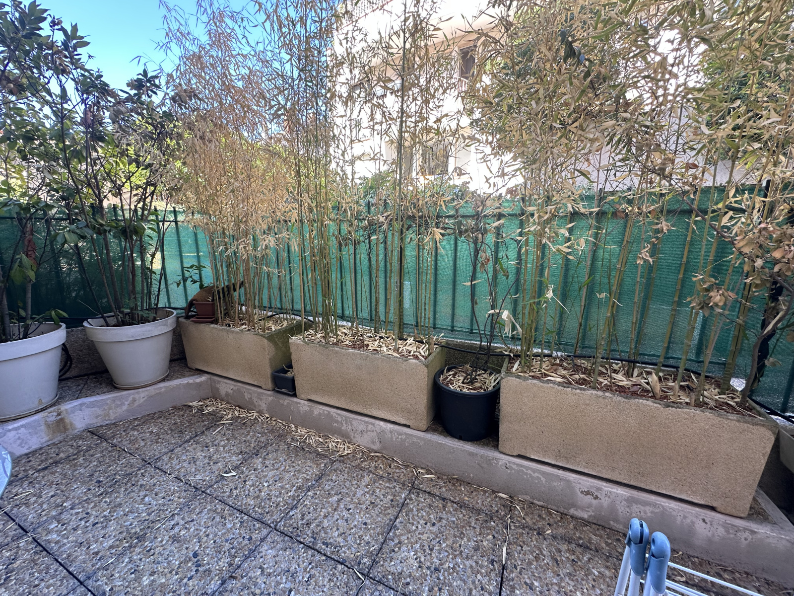 Image_, Appartement, Toulouse, ref :dumeril