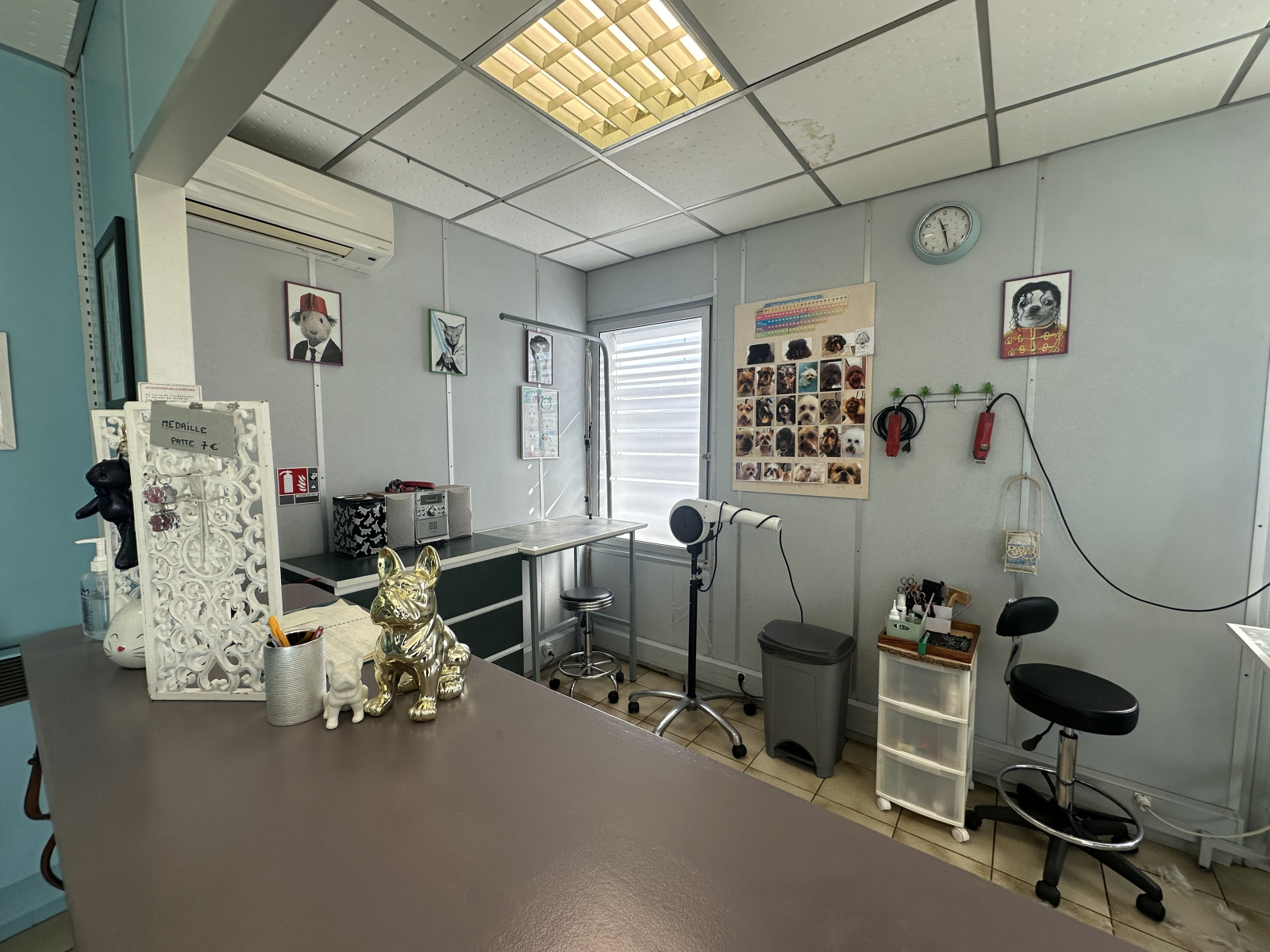 Image_, Local commercial, Blagnac, ref :localblagnac